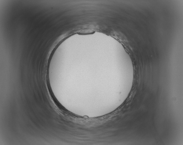 X0000082160003200702092229