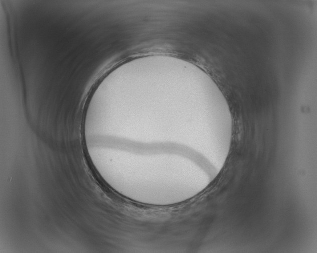 X0000082160004200702092229