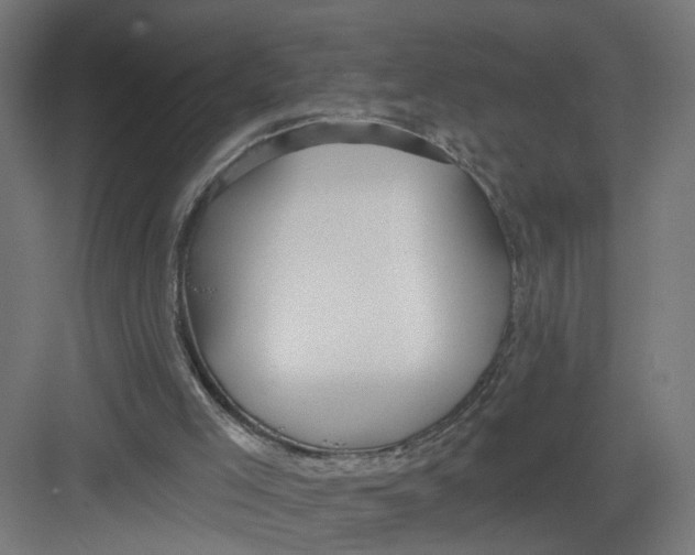 X0000082160005200702092229