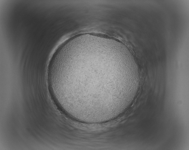 X0000082160006200702092229