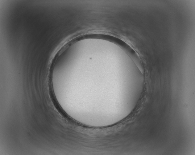 X0000082160007200702092229