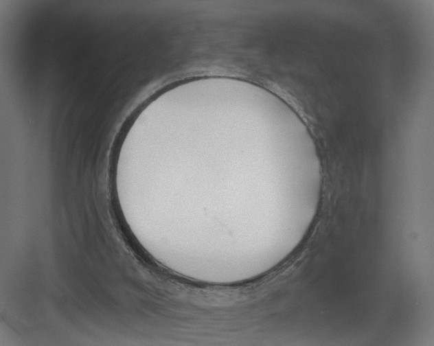 X0000082160008200702092229