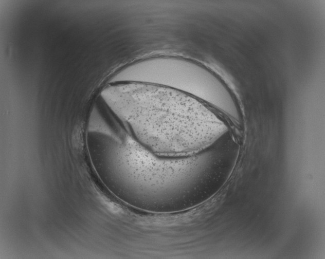 X0000082160009200702092229