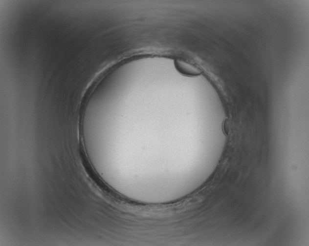 X0000082160011200702092229