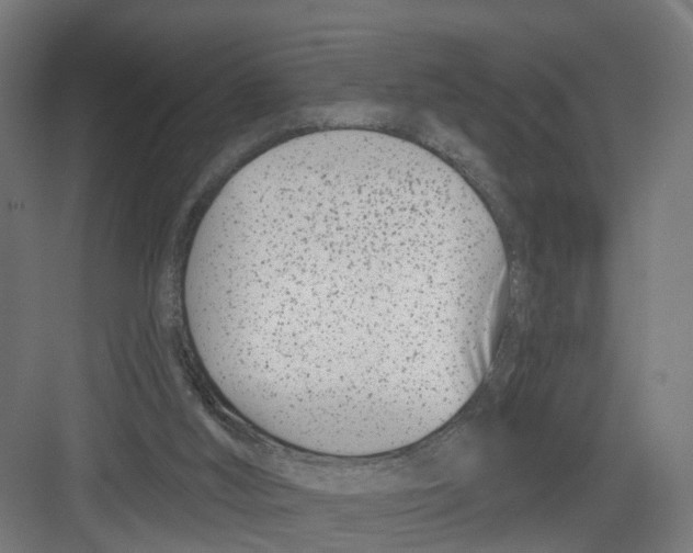 X0000082160012200702092229