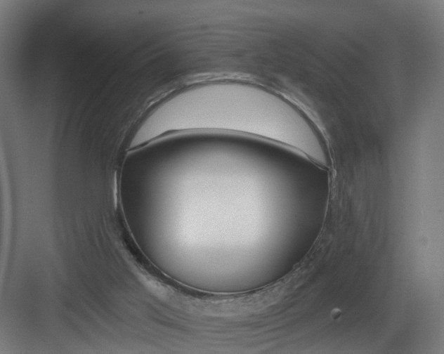 X0000082160013200702092229