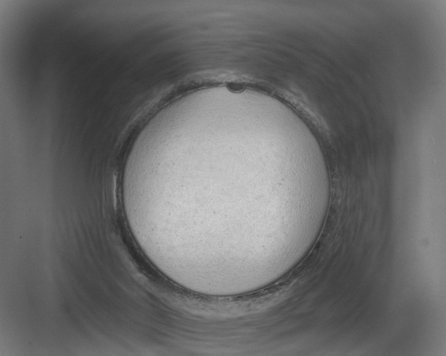 X0000082160014200702092229