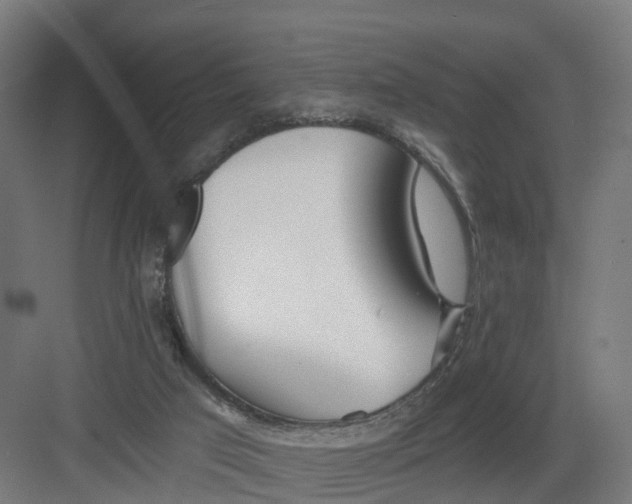 X0000082160017200702092229