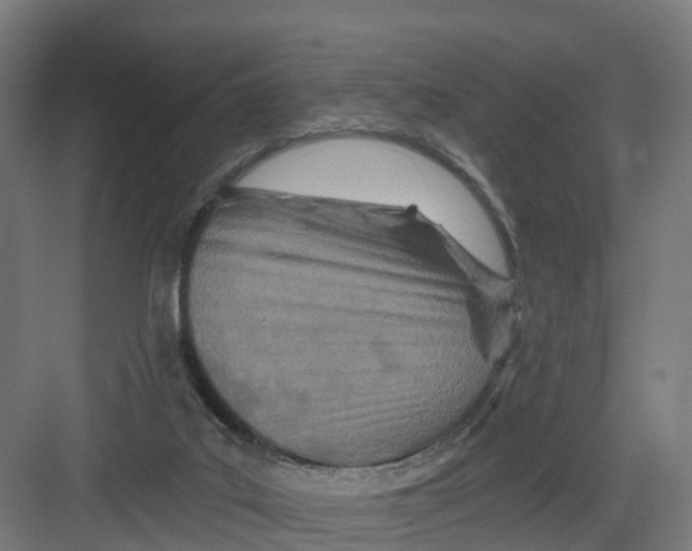 X0000082160019200702092229