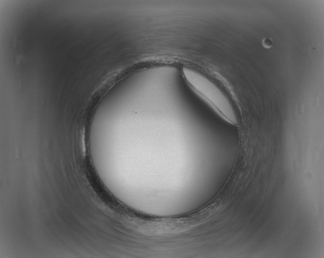 X0000082160020200702092229