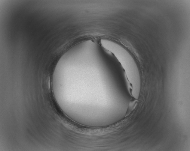 X0000082160021200702092229