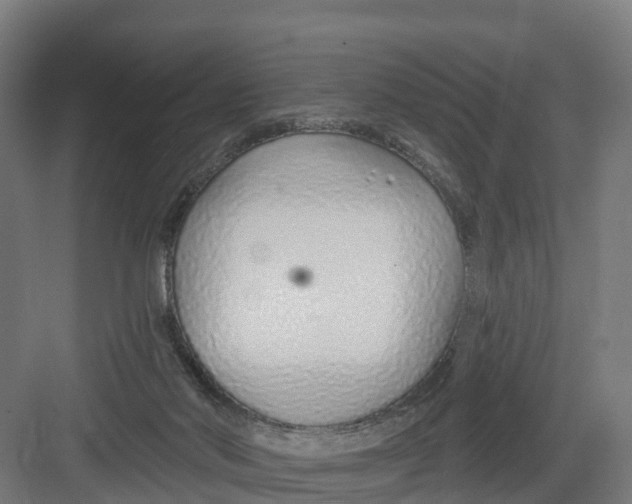 X0000082160022200702092229