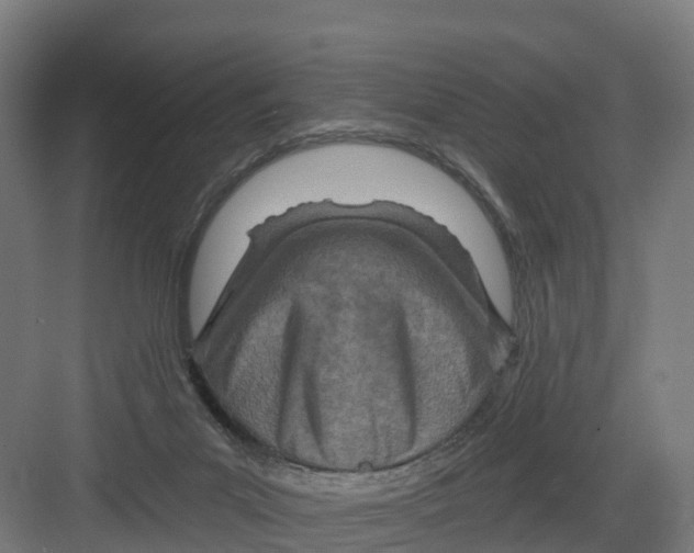 X0000082160023200702092229