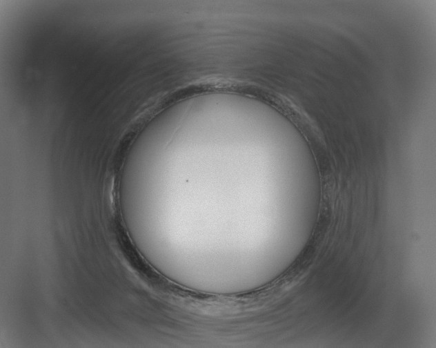 X0000082160024200702092229