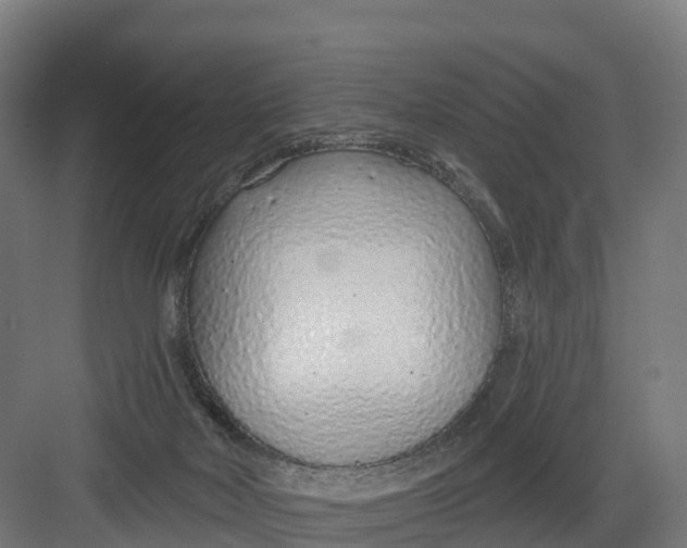 X0000082160026200702092229