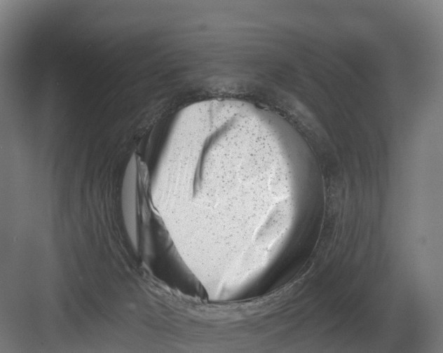 X0000082160029200702092229