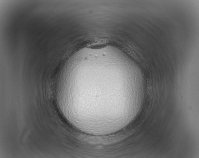 X0000082160030200702092229