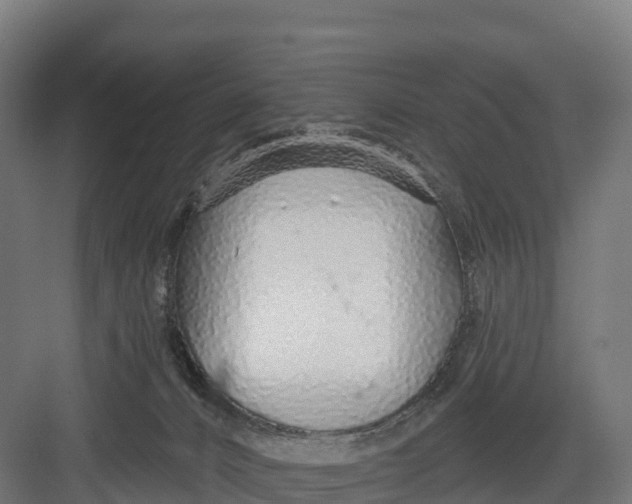 X0000082160032200702092229