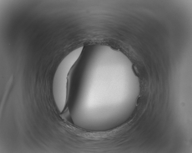 X0000082160033200702092229