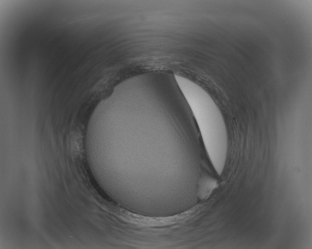 X0000082160035200702092229