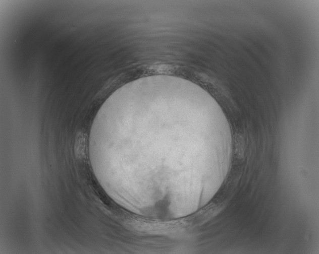 X0000082160036200702092229