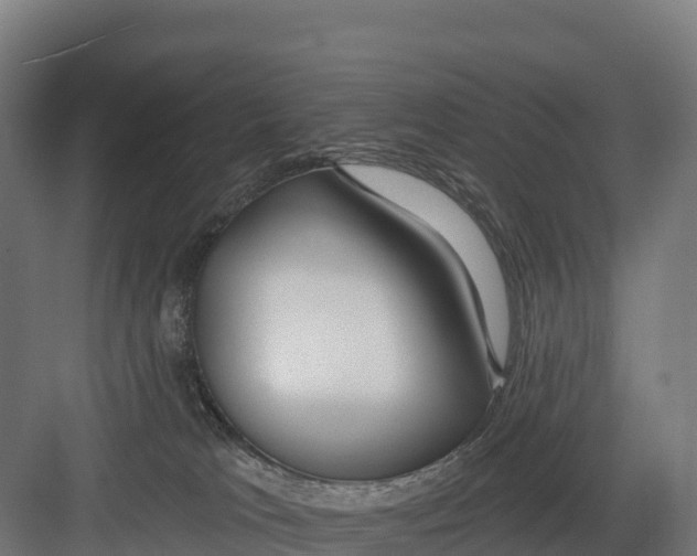 X0000082160037200702092229