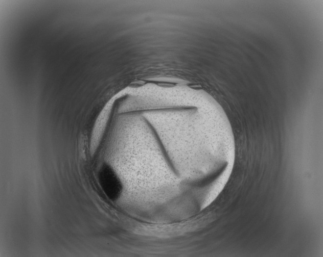 X0000082160038200702092229