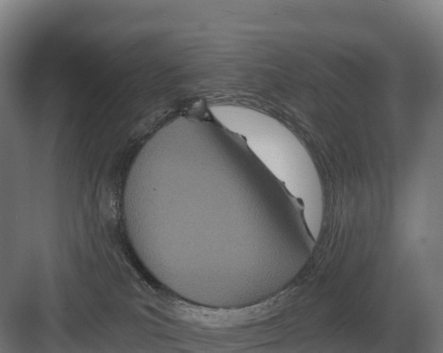 X0000082160039200702092229