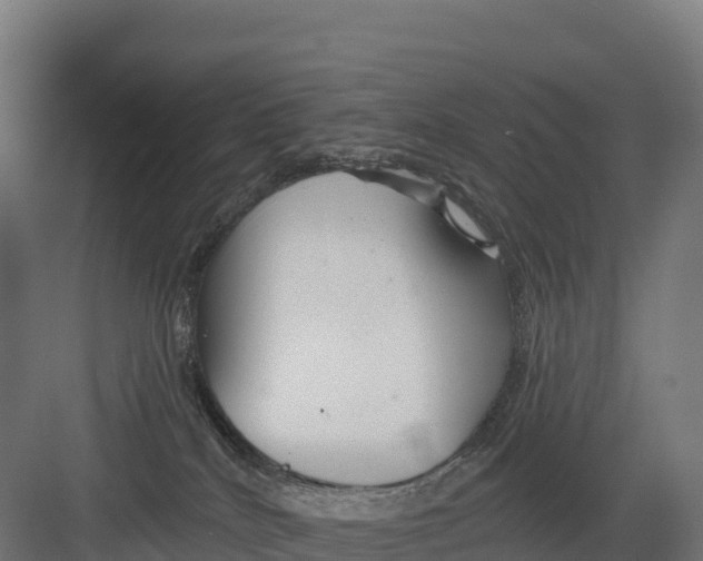 X0000082160040200702092229