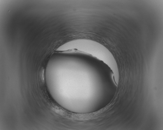 X0000082160041200702092229