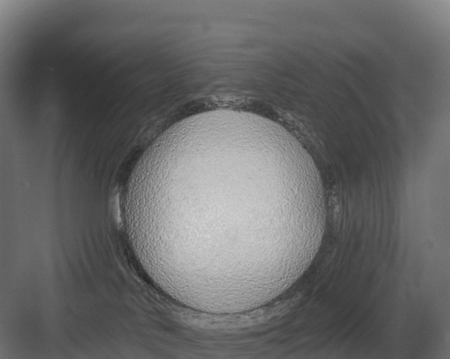 X0000082160042200702092229