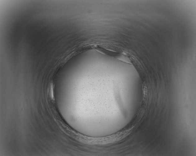 X0000082160046200702092229