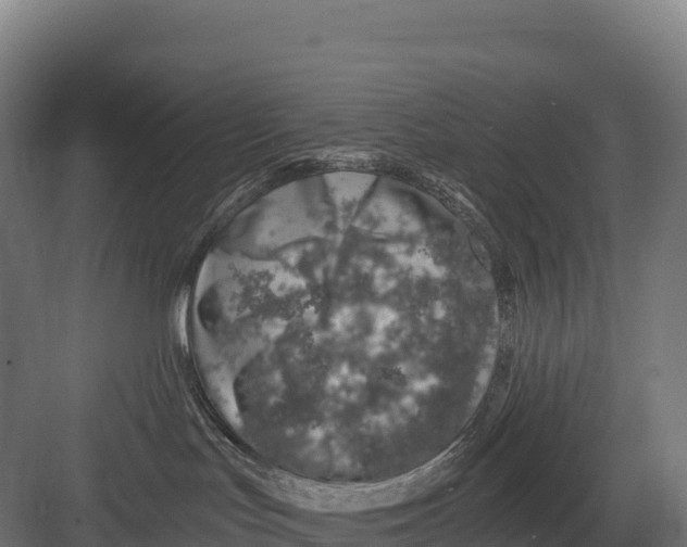 X0000082160047200702092229