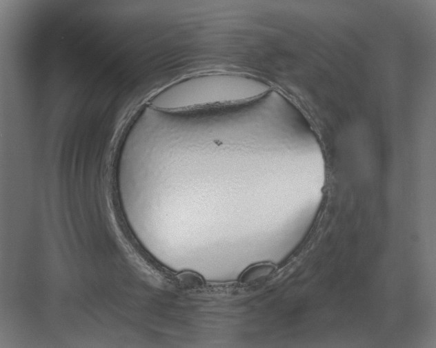 X0000082160049200702092228