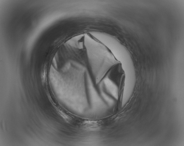 X0000082160052200702092228