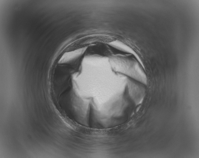 X0000082160053200702092228