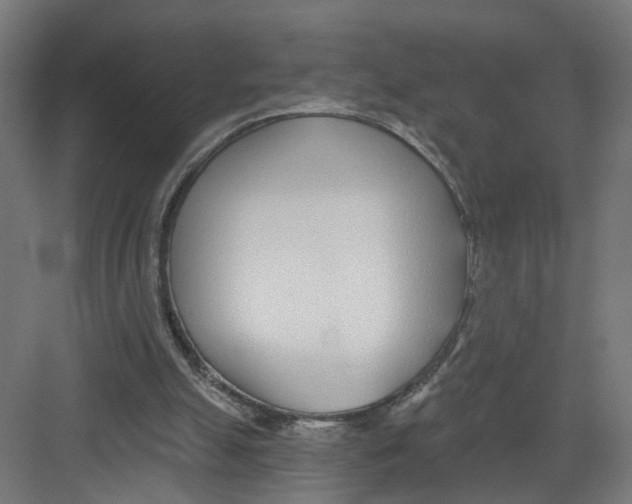 X0000082160055200702092228