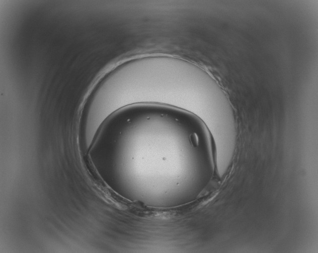 X0000082160056200702092228