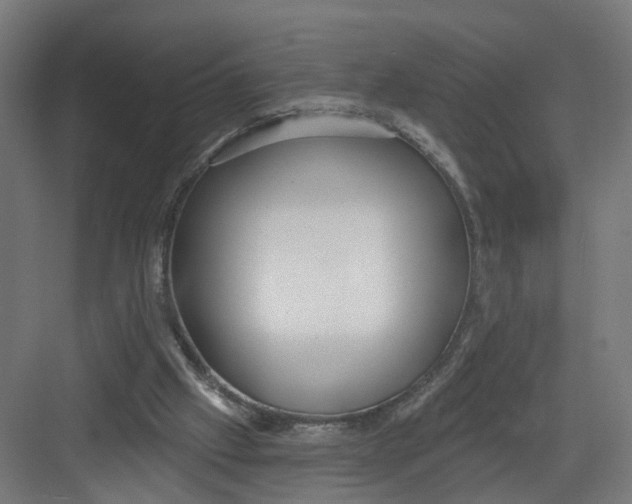 X0000082160057200702092228