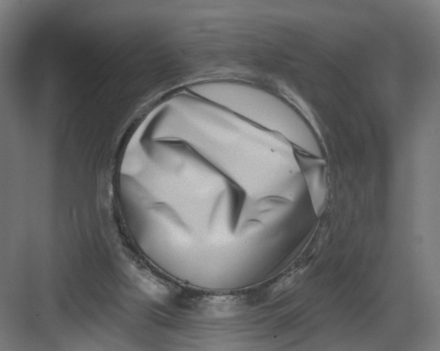 X0000082160059200702092228