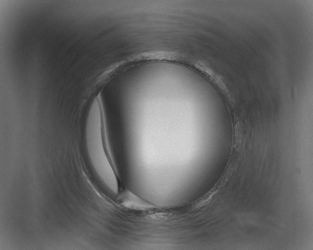 X0000082160062200702092228