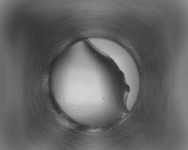 X0000082160066200702092228