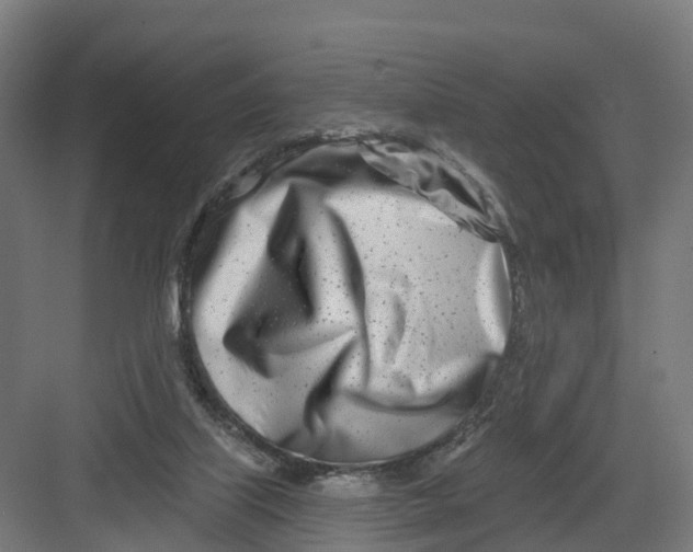 X0000082160067200702092228