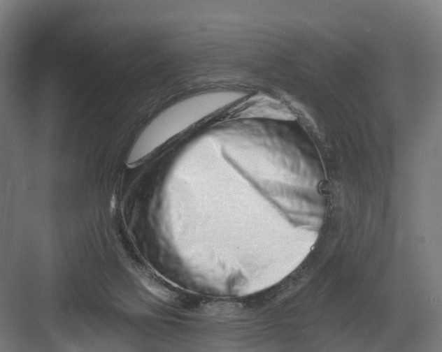 X0000082160069200702092228