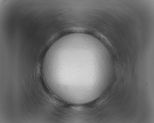 X0000082160071200702092228