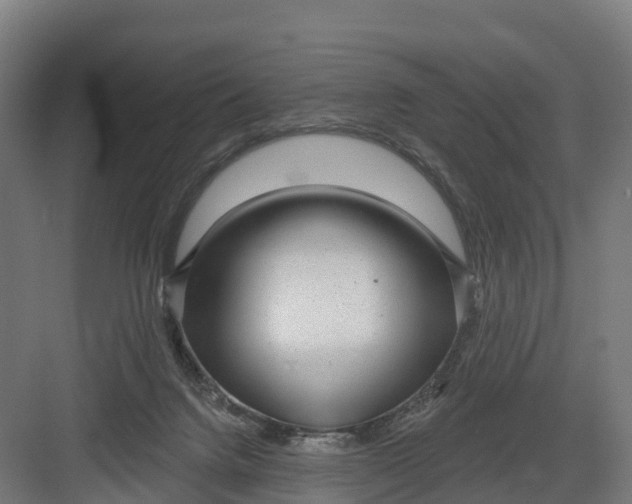 X0000082160072200702092228