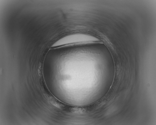 X0000082160073200702092228