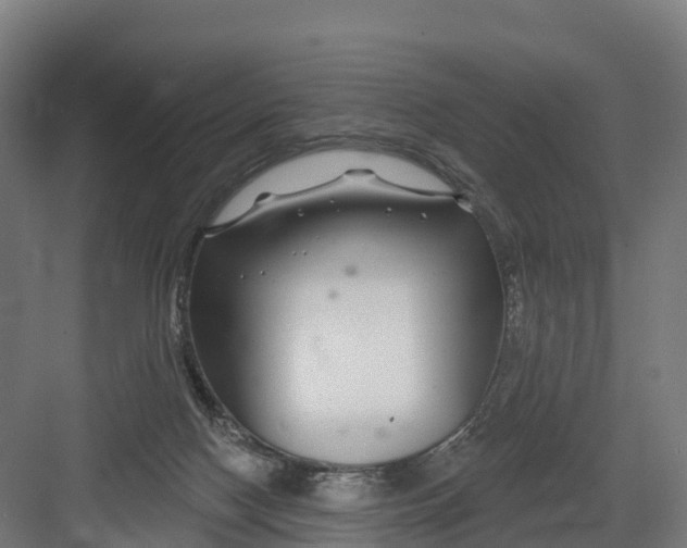 X0000082160074200702092228