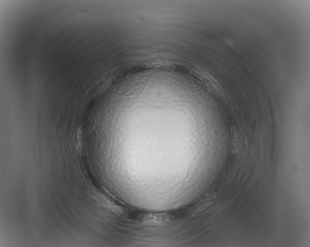 X0000082160077200702092228