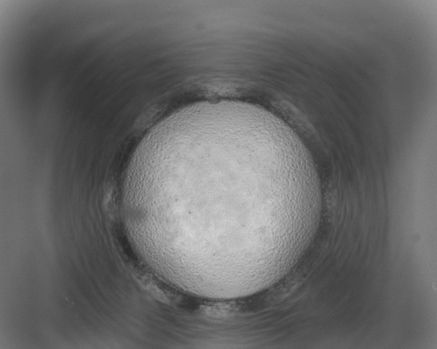 X0000082160079200702092228